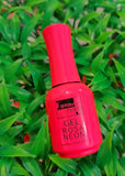 Pre Order Fantasy Nails Gel Individual