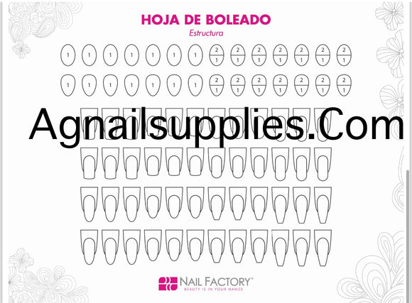 Nail Factory Hoja de Practica Estructura