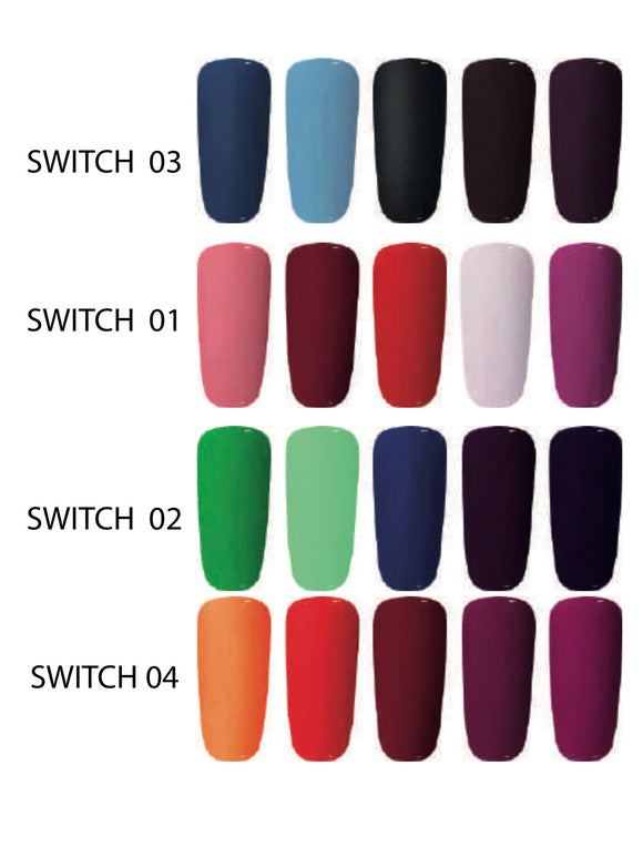 GMI Switch Individuales