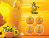 Tania Flores Amarillas Acrylic Collection